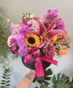 Box Mix Colors Especial