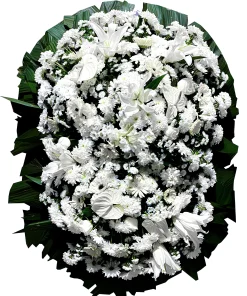 Coroa de Flores Platina A