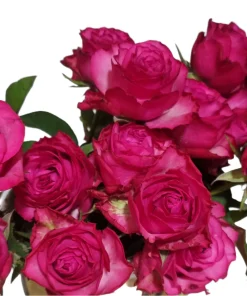 Buquê de Rosas Pink c/ 10un