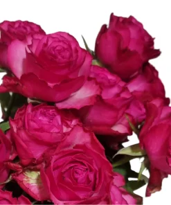 Buquê de Rosas Pink c/ 6un